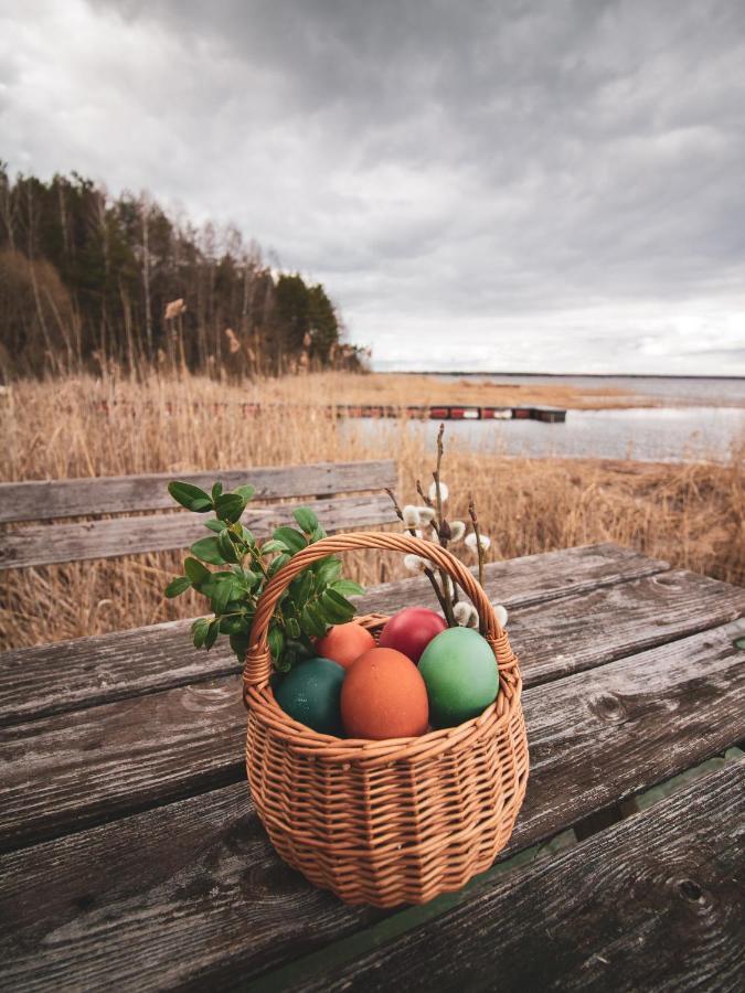 Lesna 21 Dom Poludnie Przy Puszcza Bialowieska Luka Buitenkant foto