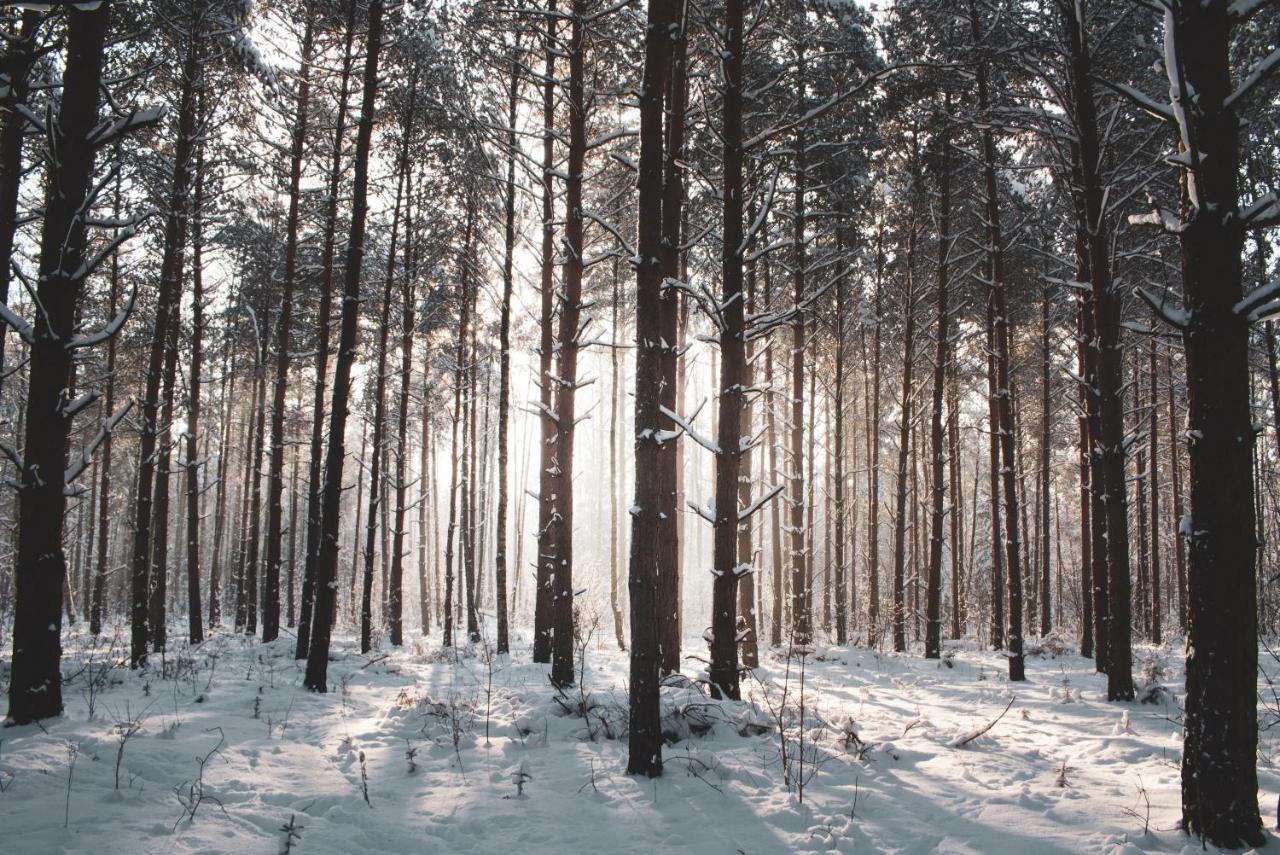 Lesna 21 Dom Poludnie Przy Puszcza Bialowieska Luka Buitenkant foto