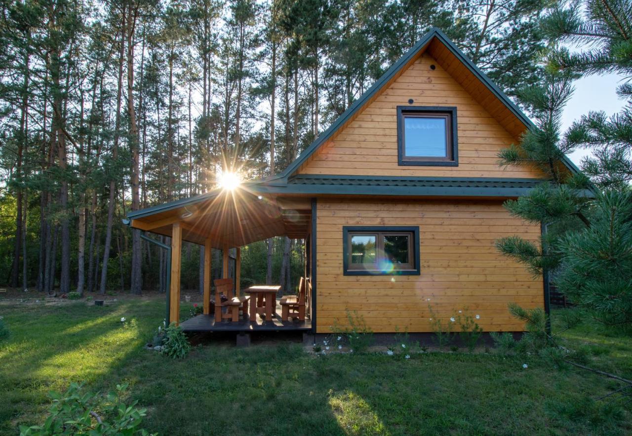 Lesna 21 Dom Poludnie Przy Puszcza Bialowieska Luka Buitenkant foto