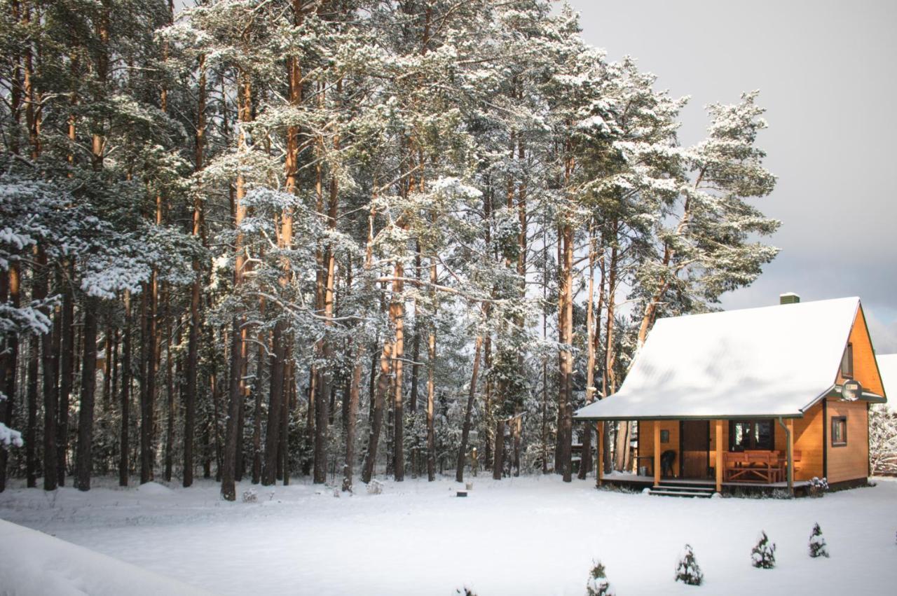 Lesna 21 Dom Poludnie Przy Puszcza Bialowieska Luka Buitenkant foto