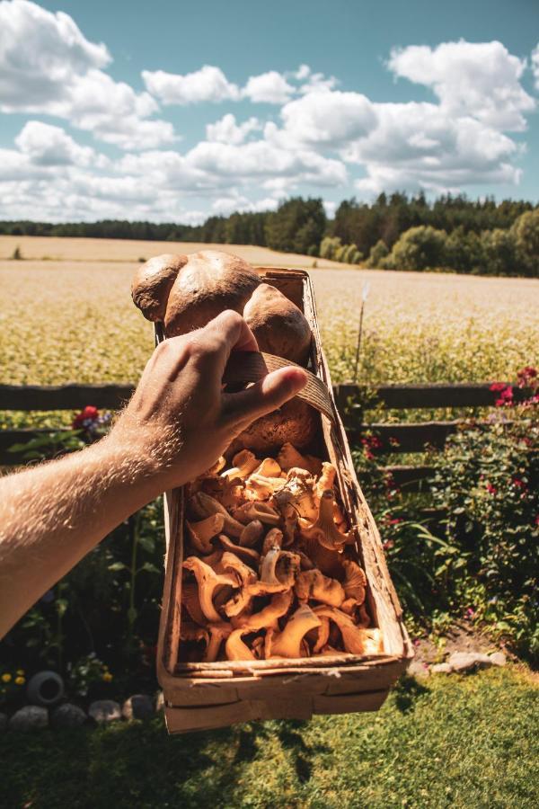 Lesna 21 Dom Poludnie Przy Puszcza Bialowieska Luka Buitenkant foto