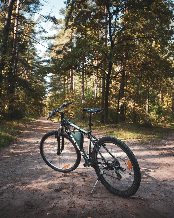 Lesna 21 Dom Poludnie Przy Puszcza Bialowieska Luka Buitenkant foto