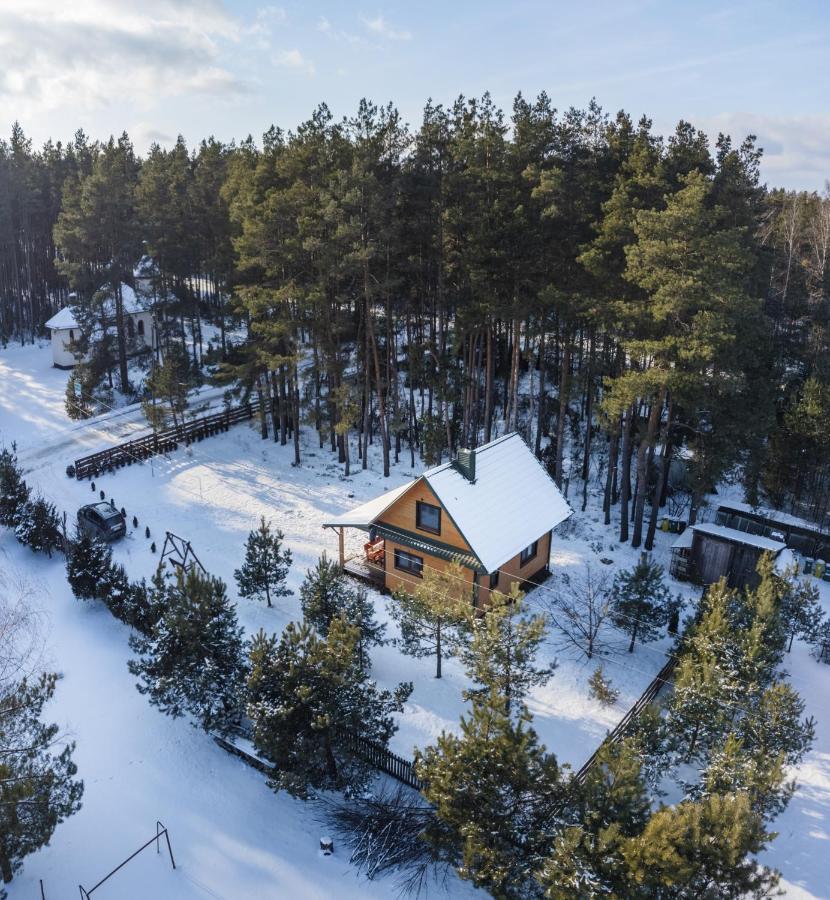 Lesna 21 Dom Poludnie Przy Puszcza Bialowieska Luka Buitenkant foto