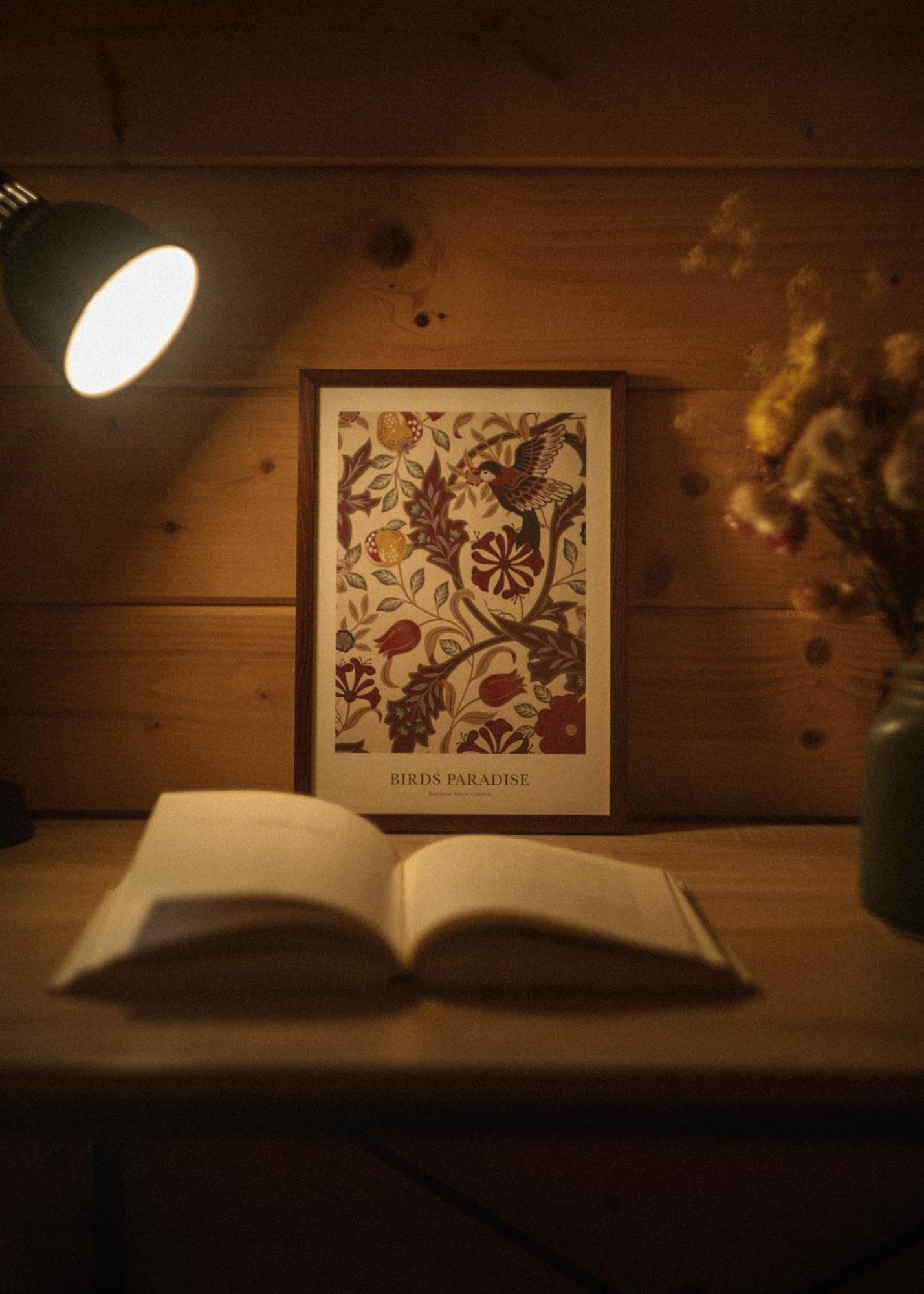 Lesna 21 Dom Poludnie Przy Puszcza Bialowieska Luka Buitenkant foto